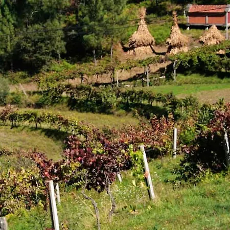 Charming In Riba De Mouro, Fireplace Feriehus Riba de Mouro