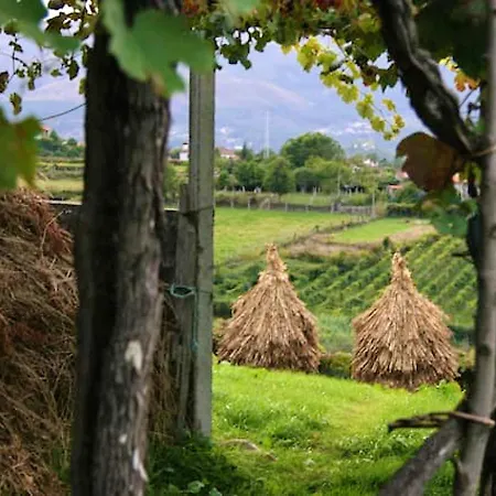 Charming In Riba De Mouro, Fireplace Feriehus *