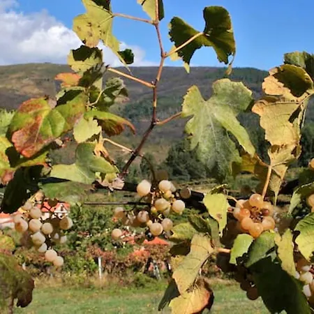 Charming In Riba De Mouro, Fireplace