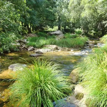 Feriehus Charming In Riba De Mouro, Fireplace *