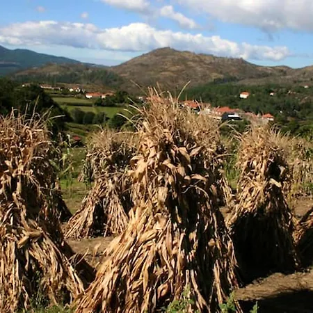Charming In Riba De Mouro, Fireplace Feriehus Riba de Mouro