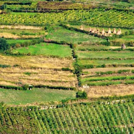 Feriehus Charming In Riba De Mouro, Fireplace