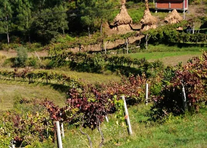 Charming In Riba De Mouro, Fireplace Holiday home Riba de Mouro