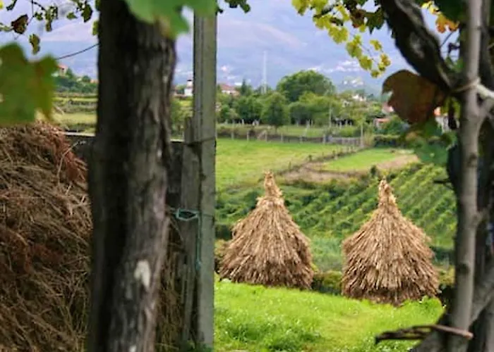 Charming In Riba De Mouro, Fireplace Holiday home *