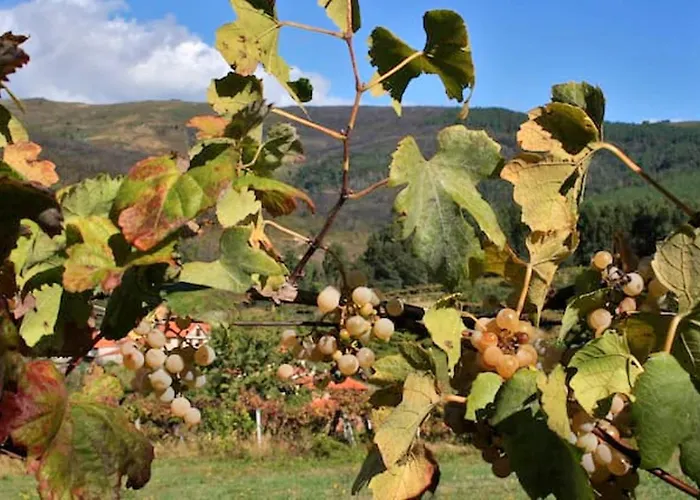Charming In Riba De Mouro, Fireplace