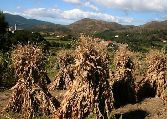 Charming In Riba De Mouro, Fireplace Feriehus Riba de Mouro