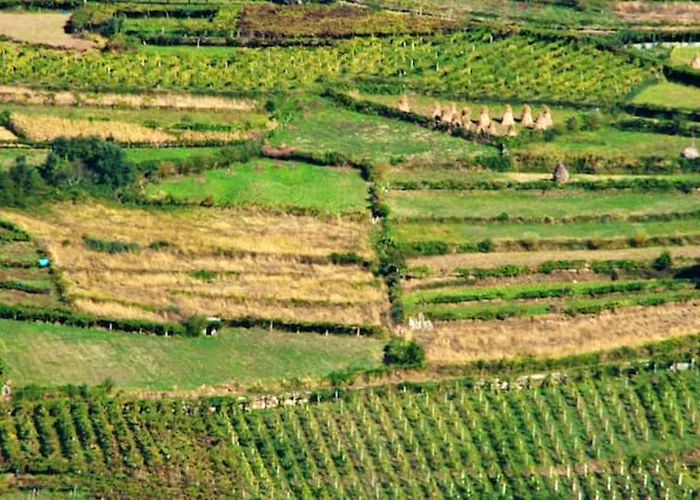 別荘 Charming In Riba De Mouro, Fireplace